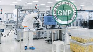 gmp300 gmp300